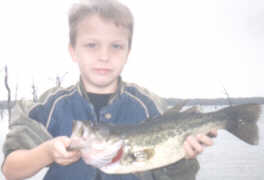 Dillon at fork